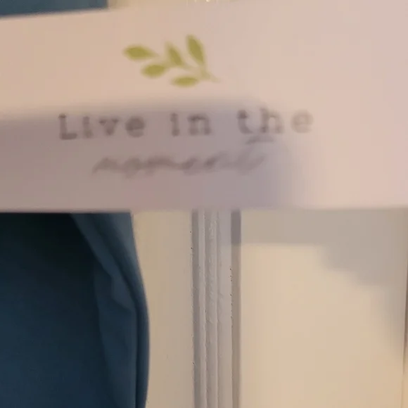 NWT Shirt - Picture 3 of 3